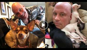 Man Who Only Wants Big And Tough Dogs Gets A Change Of Heart After Meeting A Tiny Chihuahua